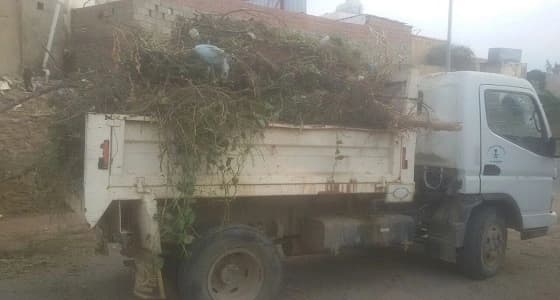 بالصور.. " بلدية هروب " تستكمل حملاتها للشهر الثالث على التوالي