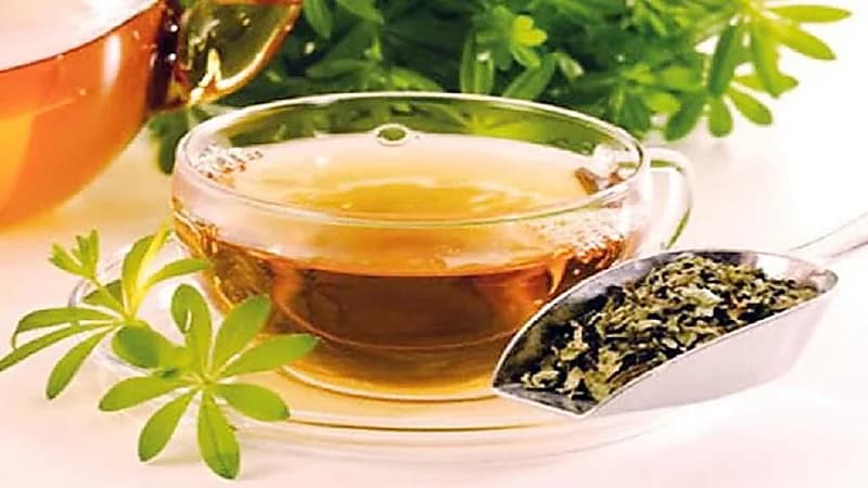 فوائد مذهلة للزعتر لتحسين الصحة والوقاية من الأمراض