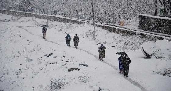 عاصفة ثلجية تضرب اليابان وتتسبب في مقتل 5 أشخاص