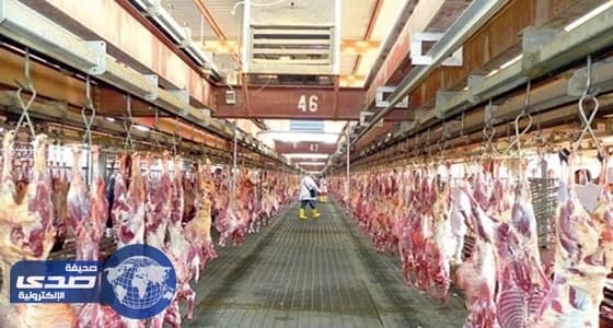 مشروع الهدي والأضاحي يوزع 928 ألف ذبيحة