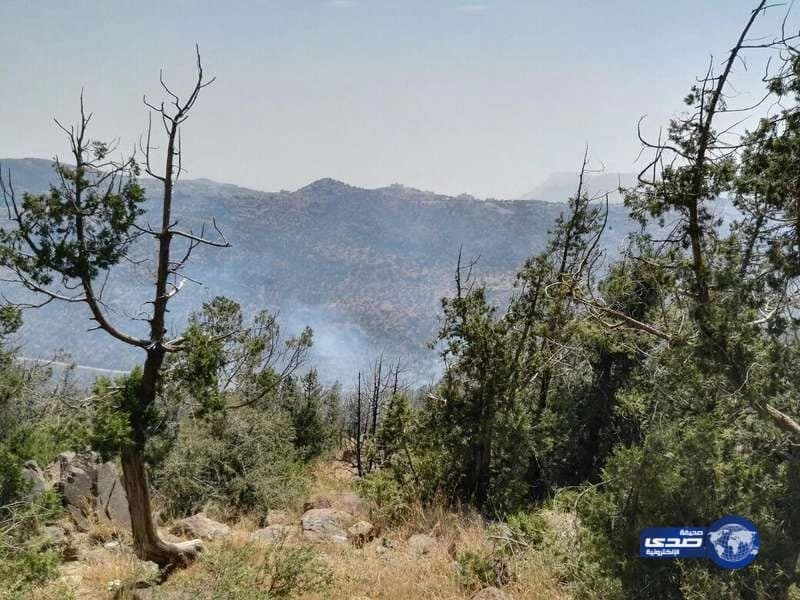 المنظمة العالمية للأرصاد الجوية تعلن عن وظائف شاغرة