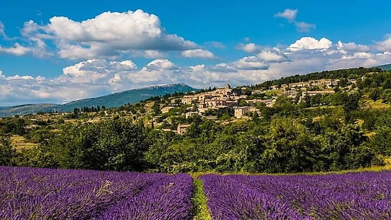 السفير الفرنسي عن اختيار اللون البنفسجي لمراسم الاستقبال: "هذا لوني المفضل"