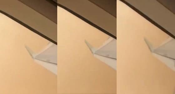 بالفيديو.. صياح ودعاء في رحلة جوية من الرياض للقصيم