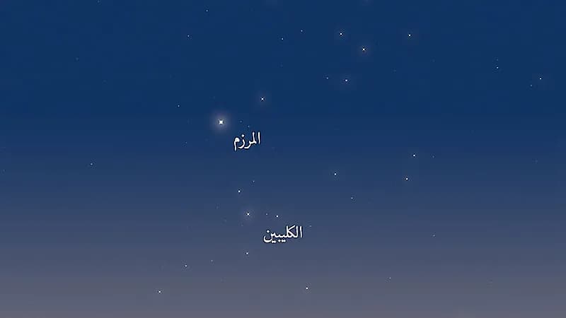 المسند يوضع أسباب اهتمام العرب بسهيل