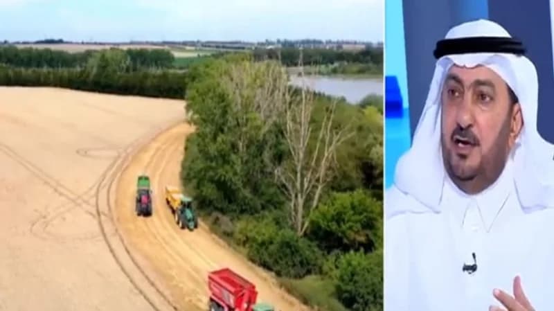 ‏هل من المتوقع أن تستمر أزمة القمح بعد قرار الهند بحظر تصديره ؟.. أكاديمي يجيب