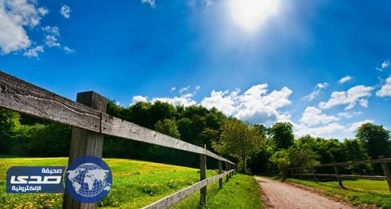 السويد تشهد أعلى درجات حرارة منذ 155 عاما