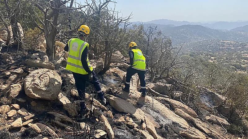 مدني الطائف تسيطر على حريق في قمة جبل الوادي