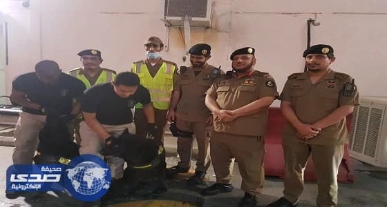 k9 تشارك قوات أمن العمرة للأسلحة والمتفجرات في تفتيش المركبات