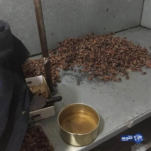 بالصور.. «مدني تبوك» ينقذ مواطن مصاب في منطقة جبلية بطائرة إخلاء