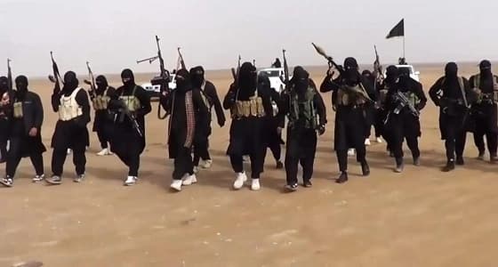 محلات الأعلاف بالطائف كارثه وقنبلة موقوته تنتظر الحل