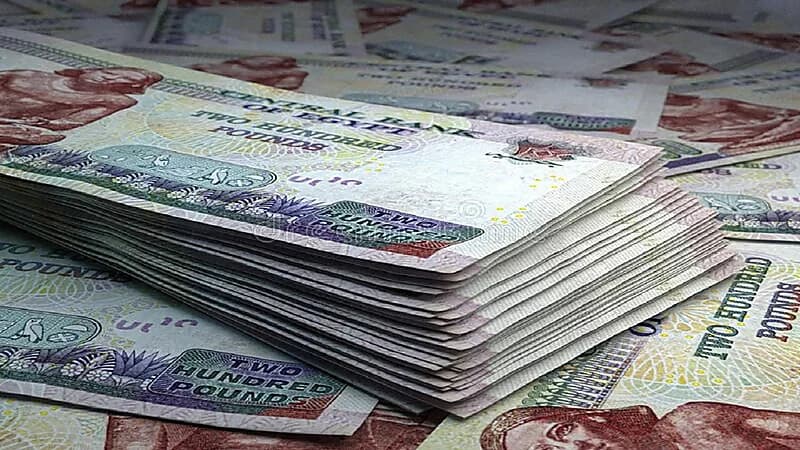موظف يسرق ملايين الجنيهات من أكبر بنوك مصر