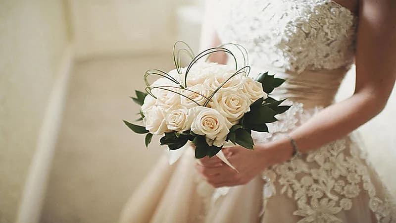 300 بقرة و200 ثور مهرًا لعروس!