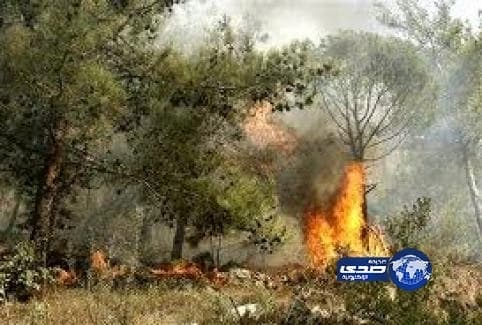 أسعار الذهب اليوم الأحد