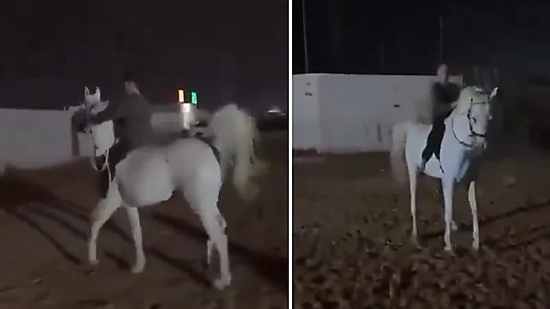أب يوثق مهارة ابنه في ركوب الخيل ..فيديو