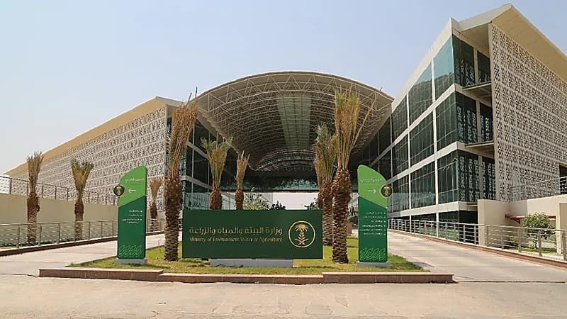 "البيئة": 10 أيام على انتهاء مهلة استيراد الخضروات والفواكه الطازجة دون أذونات استيراد إلكترونية