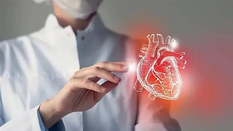 أبرز الأطعمة المهمة لصحة القلب والغنية بالعناصر الغذائية