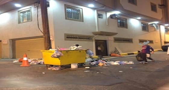 بالصور.. أهالي الخالدية يصرخون من النفايات والحشرات