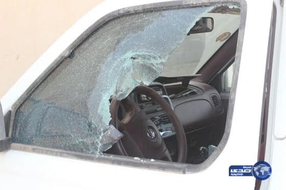 بالصور..وجبة عشاء بنكهة الذباب يقدمها مطعم شهير بالمدينة المنورة