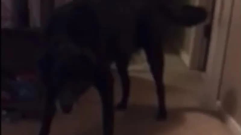 امرأة توثق مقطع فيديو لـ عفريت في منزلها