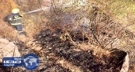 مدني جازان يسيطر على حرائق جبال فيفاء