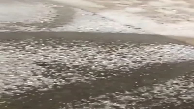 شاهد.. بردية قوية تجتاح رفحاء 