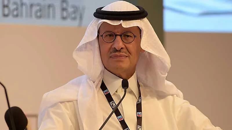 بالفيديو.. رد بليغ من وزير الطاقة على شابة طلبت منه أن يتبنى طموحها