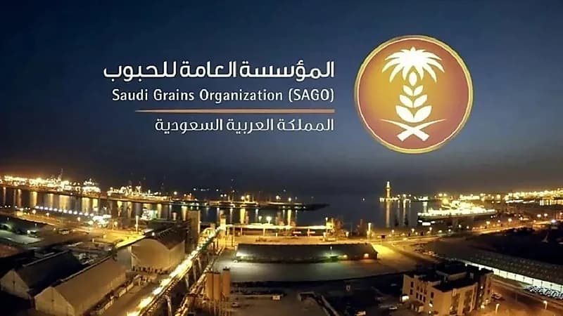 مخالفات استخدام الدقيق والقمح كمدخل علفي