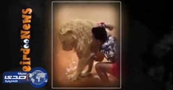 بالفيديو.. شاب يفاجأ بدوريات أمن أثناء ممارسته للتفحيط