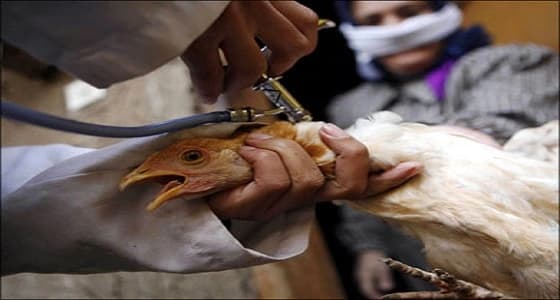 وفاة 33 شخصًا بوباء الأنفلونزا في جمهورية التشيك خلال الشهر الجاري