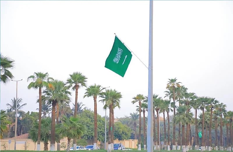 بالفيديو.. جدة تتزين بعلم المملكة احتفالًا يوم العلم