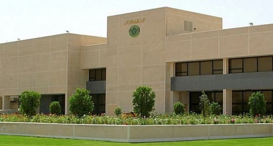 عضوة شورى لـ معهد الإدارة العامة: استخدام أسلوب المحاكاة أفضل