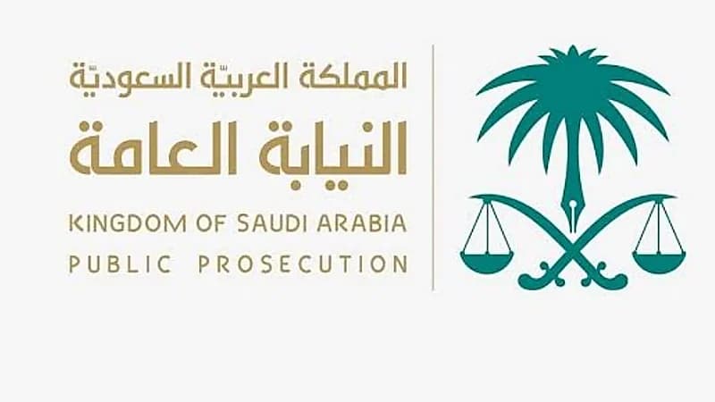 نظام حماية الطفل يحظر إنتاج أو نشر أي مصنف يخاطب غريزة الطفل