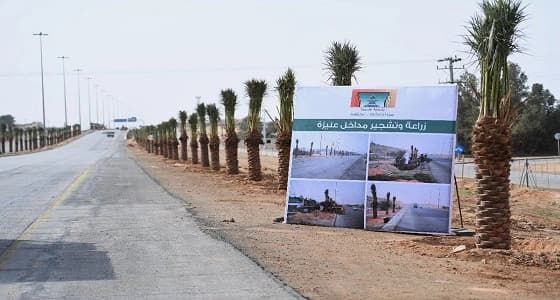 بالصور.. زراعة وتشجير مداخل عنيزة
