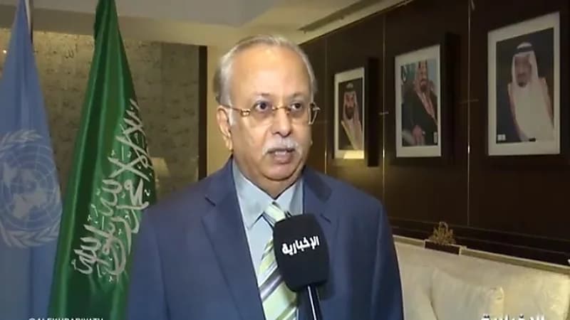 بالفيديو.. "المعلمي" يكشف أبرز القضايا التي يناقشها وفد المملكة بالأمم المتحدة