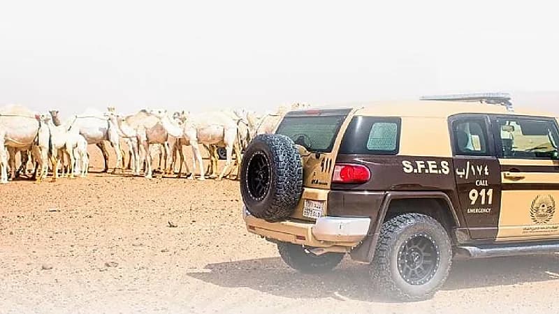 ضبط 34 مخالفًا لنظام البيئة لارتكابهم مخالفات رعي