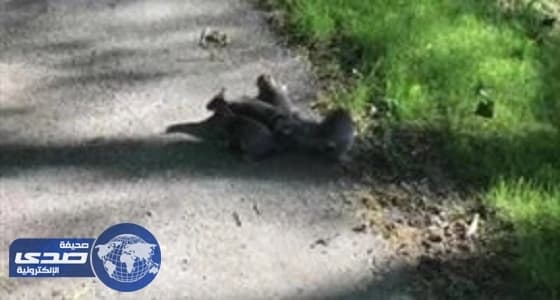 الخطوط السعودية توقع مذكرة تفاهم مع الحج والعمرة لتطوير الخدمات