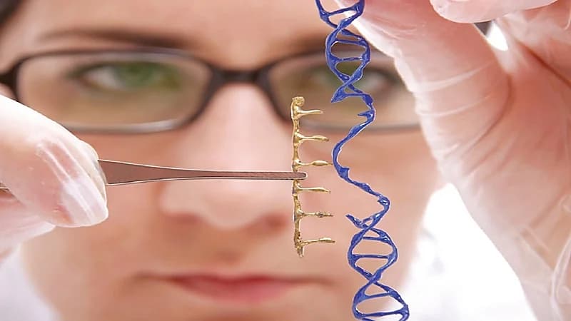 الصحة: الخلايا الجذعية ليست علاجًا للزهايمر