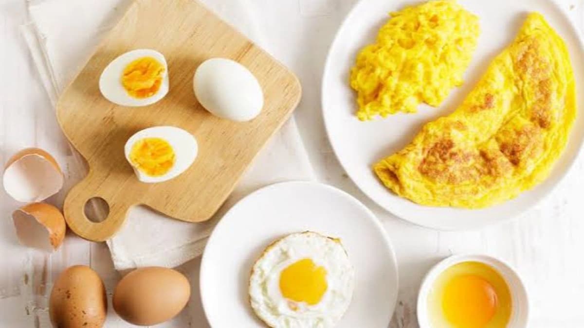 الشهري يكشف عن أفضل طريقة لتناول البيض للاستفادة من فوائده ..فيديو