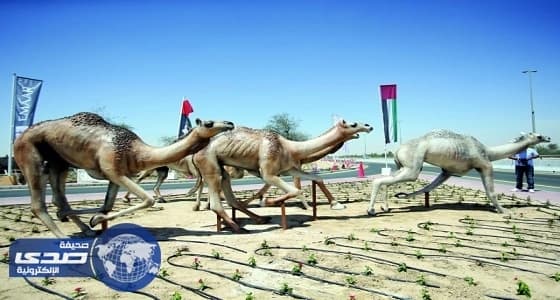 محافظة البدع تنظم أنشطة متنوعة في ثالث أيام عيد الأضحي