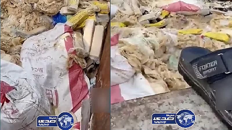 بالفيديو..عمالة وافدة تجمع دقيق منتهي الصلاحية من صندوق قمامة بالدمام