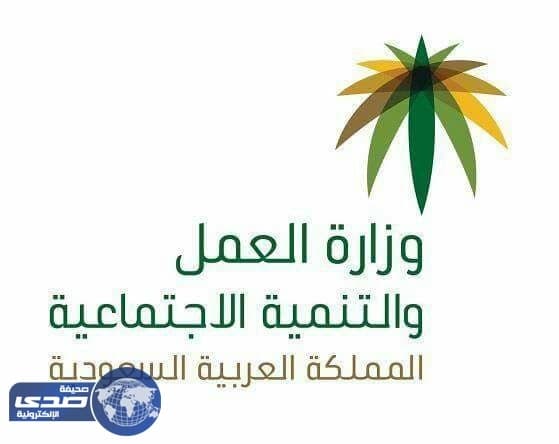 العمل تكشف عن عدد طلبات تأشيرة العمالة المنزلية خلال العام الماضي