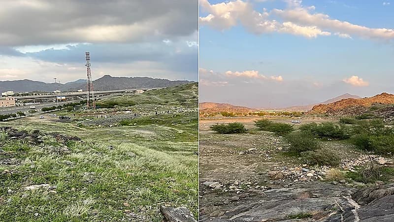 شاهد.. صحاري وجبال وأودية مكة المكرمة يكسوها الخضار بعد نزول الأمطار