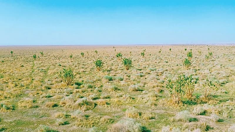 ضبط مواطن ارتكب مخالفة رعي في محمية الملك عبدالعزيز الملكية