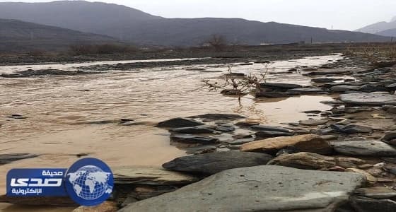 ⁠⁠⁠⁠⁠بالصور.. أمطار غزيرة على الباحة ومحافظاتها