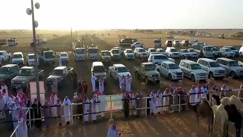 20 مليون ريال قيمة التداولات في مزاد عقلة الصقور