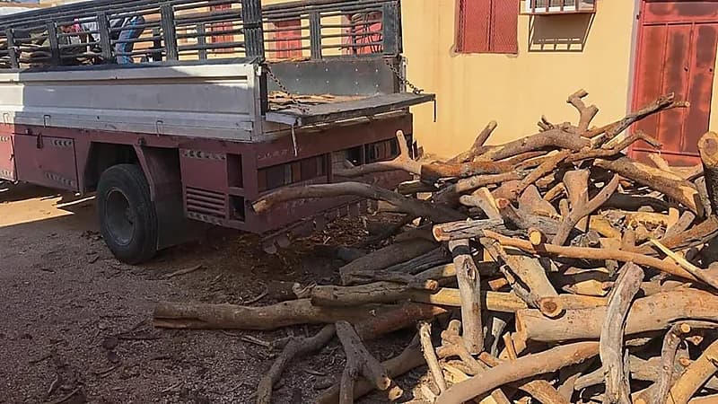 بيئة القصيم تصادر 246 متراً مكعباً من الحطب المحلي