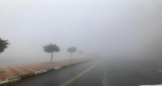 بالأسماء.. تعليق الدراسة في عدد من مدارس بلقرن