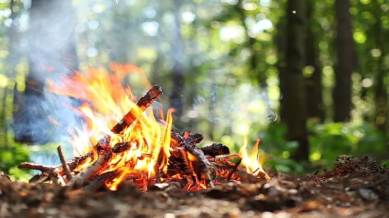 ضبط مواطنًا لإشعاله النار في محمية الملك عبدالعزيز الملكية