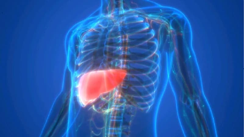 7 عادات يومية شائعة قد تدمر الكبد