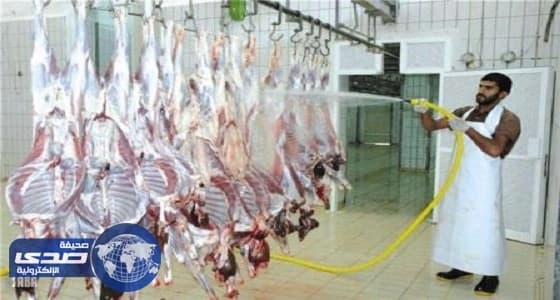 أمين الطائف: 3 آلاف رأس من الماشية يومياً لمواجهة كثافة المواسم